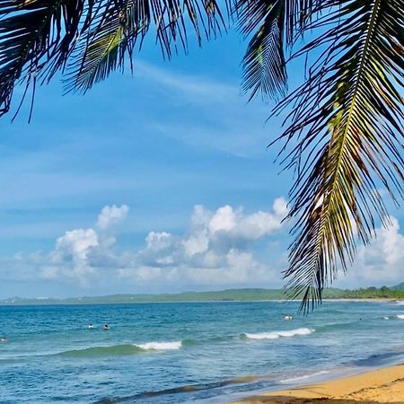 Beachbums Hideaway Luquillo Eksteriør billede